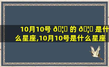 10月10号 🦉 的 🦄 是什么星座,10月10号是什么星座的男孩子